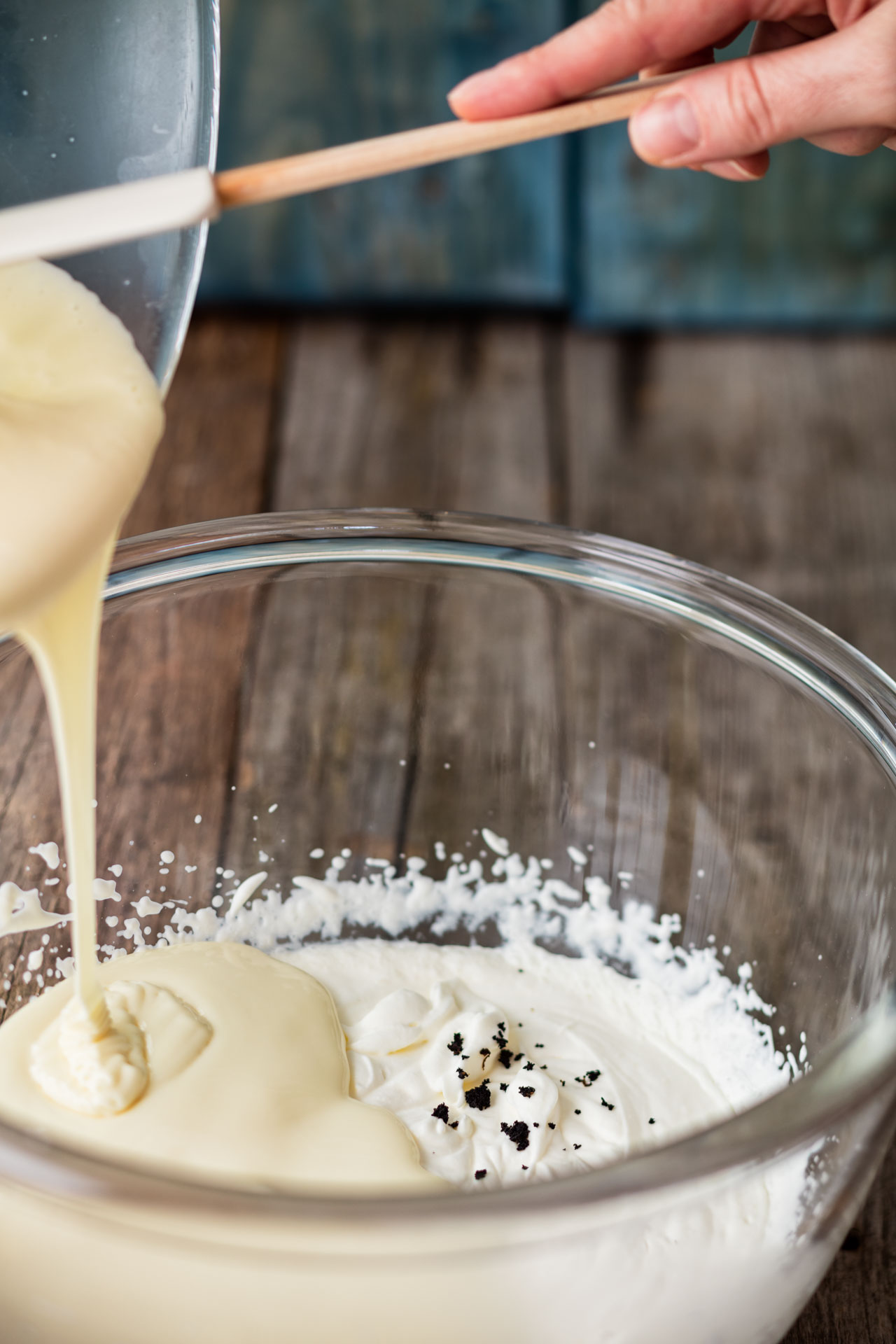 Ingredients for Vanilla ice recipe, tatra salko and cream