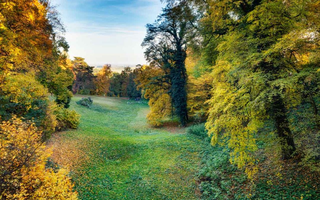 Landscape – park of Chateau Loucen