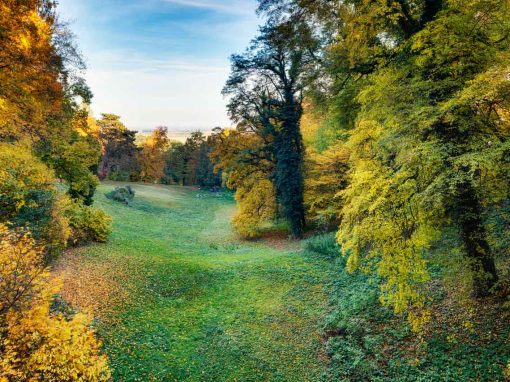 Landscape – park of Chateau Loucen